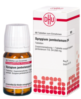 SYZYGIUM JAMBOLANUM D 4 Tabletten