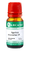 AGARICUS MUSCARIUS LM 19 Dilution