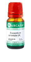 ANACARDIUM ORIENTALE LM 2 Dilution