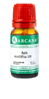 APIS MELLIFICA LM 14 Dilution