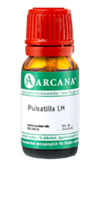 PULSATILLA LM 25 Dilution