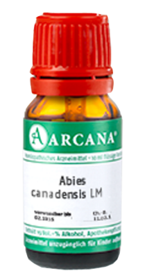 ABIES CANADENSIS LM 4 Dilution