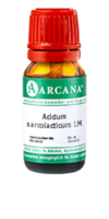 ACIDUM SARCOLACTICUM LM 29 Dilution