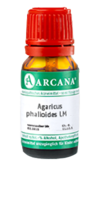 AGARICUS PHALLOIDES LM 5 Dilution