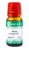 ALLIUM SATIVUM LM 1 Dilution