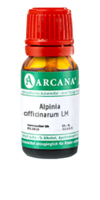 ALPINIA OFFICINARUM LM 2 Dilution