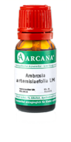 AMBROSIA ARTEMISIAEFOLIA LM 5 Dilution