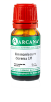 AMMONIACUM dorema LM 2 Dilution