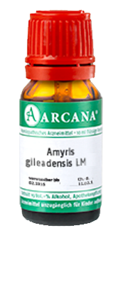 AMYRIS gileadensis LM 11 Dilution