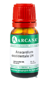 ANACARDIUM OCCIDENTALE LM 3 Dilution