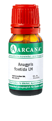 ANAGYRIS foetida LM 75 Dilution