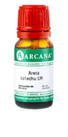 ARECA catechu LM 10 Dilution